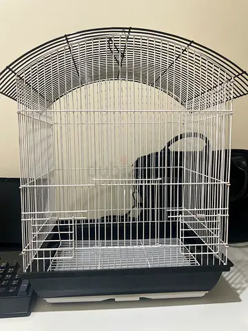Bird cage