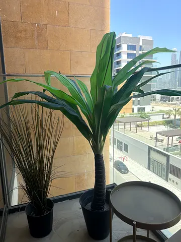 Artificial Palm