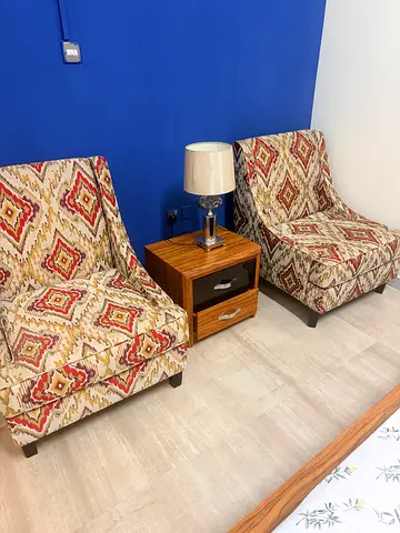 Pair of patterned accent sofa