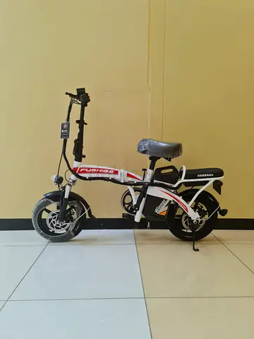 Double seater bike with removable battery with free delivery in Dxb