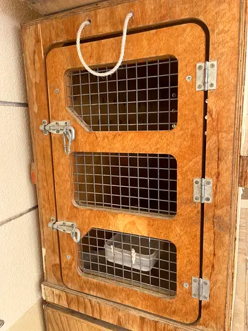 IATA APPROVED WOODEN PET CRATE -used for exporting medium sized Dalmatian dog
