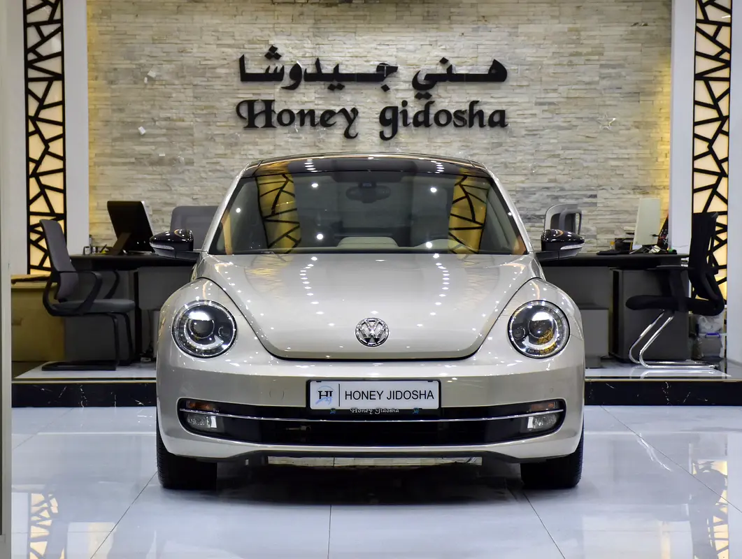 Volkswagen Beetle 2016 — photo 1 of 17