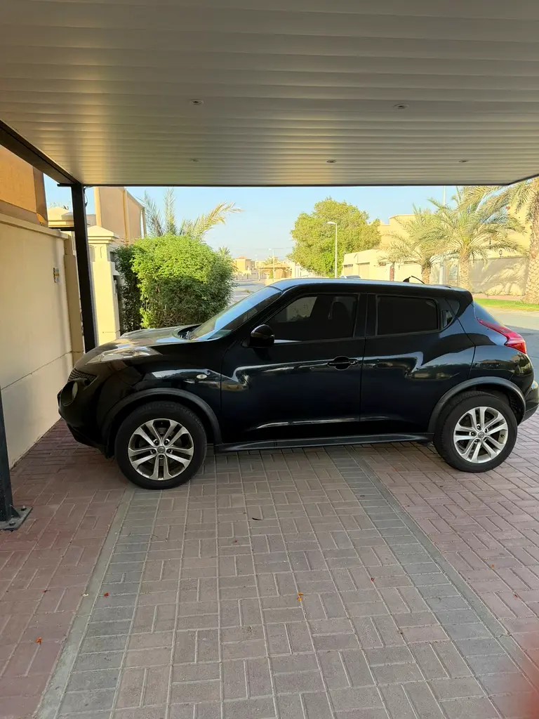 Nissan Juke 2014 — photo 1 of 7