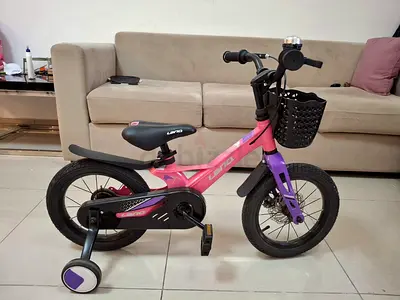 Pink Lana Kids Bicycle with Training Wheels and Basket