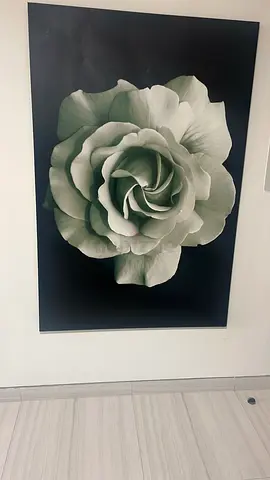 Large Black  White Floral Wall Art Print - Single Rose