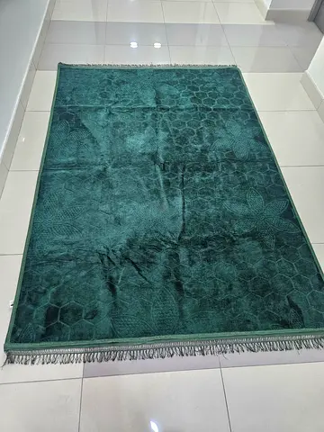 Beautiful Plush Area Rug with Fringe