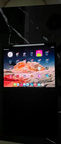 iPad Pro with case