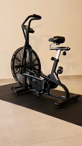 🚴♂️ Assault AirBike Classic