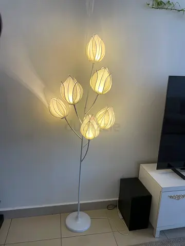 Light