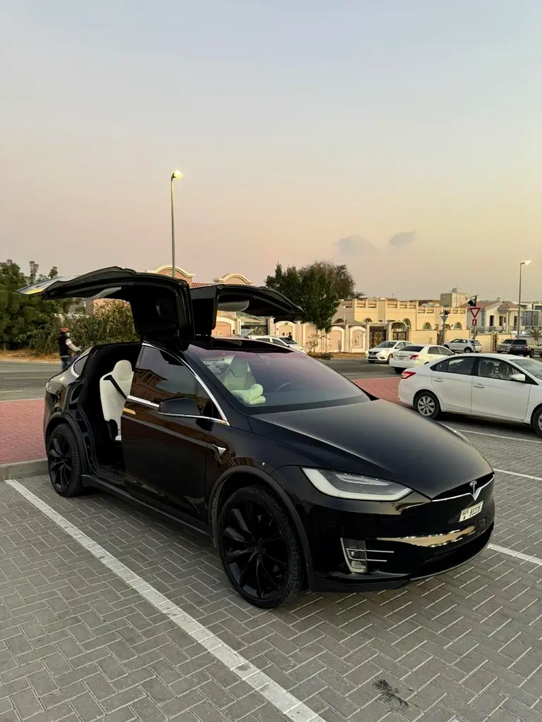 Tesla Model X 2018 — photo 1 of 14