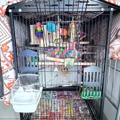 Very beautiful bird cage