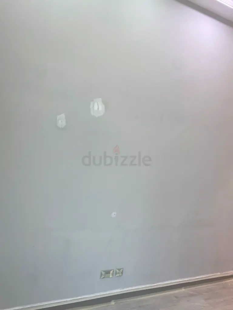 DPV_View_Image_1