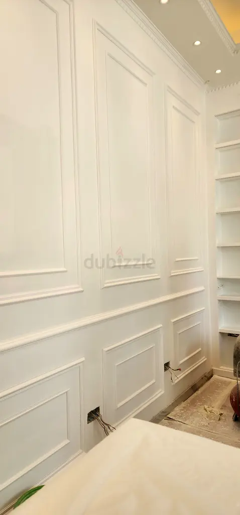 DPV_View_Image_5