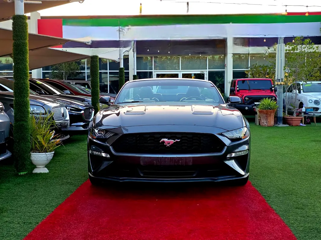 Ford Mustang 2018 — photo 1 of 20