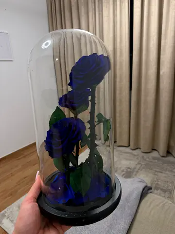 Decorative Glass Dome with Blue Preserved Roses
