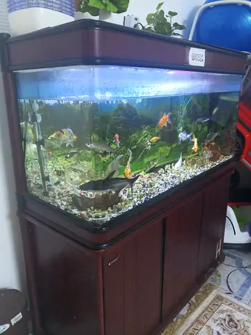 Complete Fish Aquarium