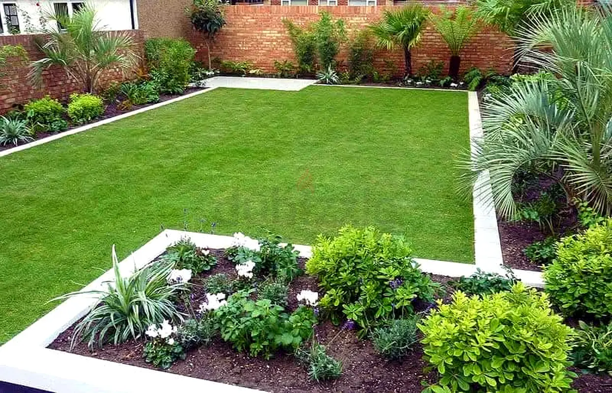 DPV_View_Image_1
