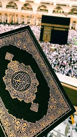 Holy Quran classes with Online expert female Qaria for everyone, with affordable price