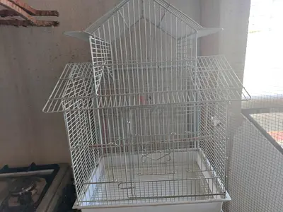 Bird cage