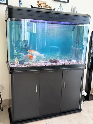 Fish Aquarium