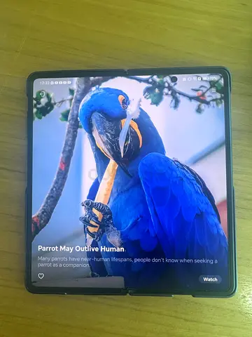 Honor Magic V3