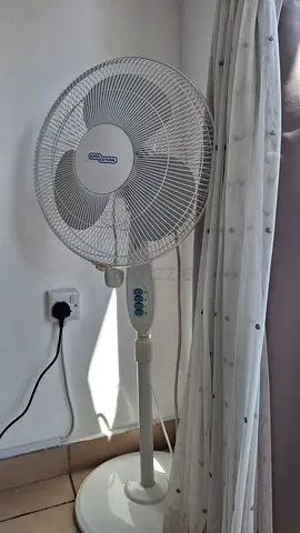 Pedestal Fan