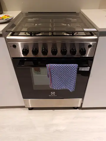 Electrolux Stainless Steel Gas Range with Oven - Good Condition
