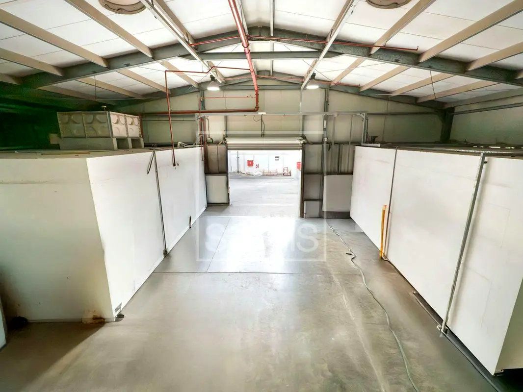 gallery-image