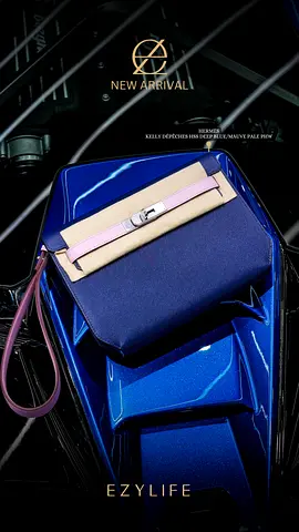 Hermes blue/mauve strap depeche 25 hss phw