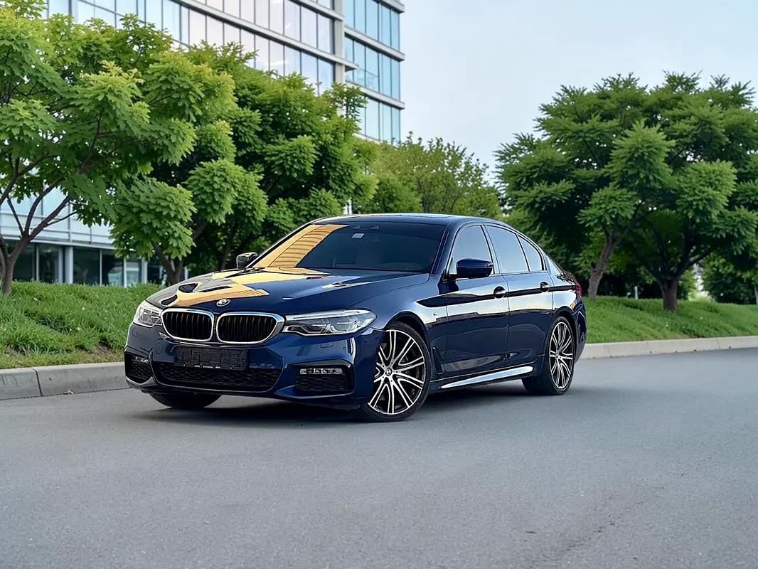 BMW 5-Series 2017 — photo 1 of 19