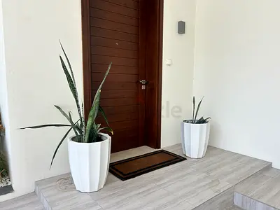 Large flower pots