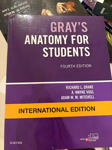 Grays anatomy for students fourth edition