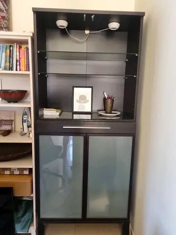 Dark Wood Display Cabinet with Frosted Glass Doors and Shelves
