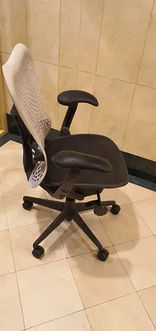 Herman Miller Ergonomic Office Chair with Mesh Back and Adjustable Armrests