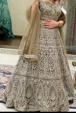 Embroidered Silver Lehenga with Sheer Sleeve Blouse - Size Approx M