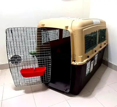 Dogs carriers for air travel Giant size