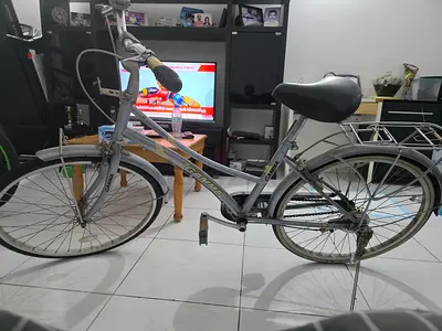 Used Silver City/Commuter Road Bike - Good condition and good for girls