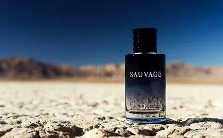 Dior Sauvage Eau de Toilette (Men) - 100ml