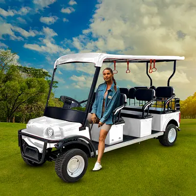 Megawheels 6 seats Mini Golf cart 60 v