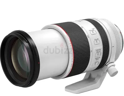Canon RF 70-200 2.8 lens