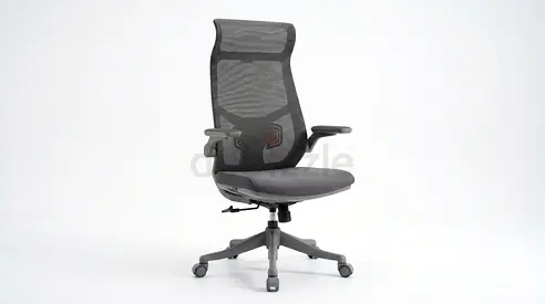 Ergonomic Chair with Lumbar Support