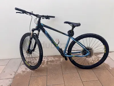 Mongoose Expert bike