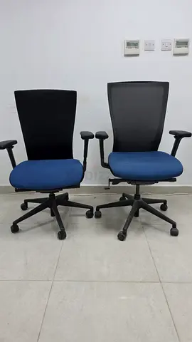 Pair of ergonomic office chairs - blue seat, adjustable armrests