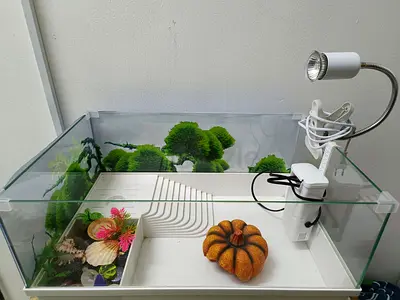 Glass Terrarium/Turtle Tank with Free Decorations and Lamp