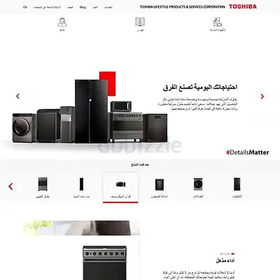 Website Design  Developoment