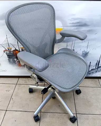 Harman miler Ergonomic Mesh Office Chair - Adjustable Armrests and Lumbar Support (Grey)