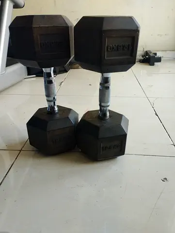 Dumbbells 12.5 kg