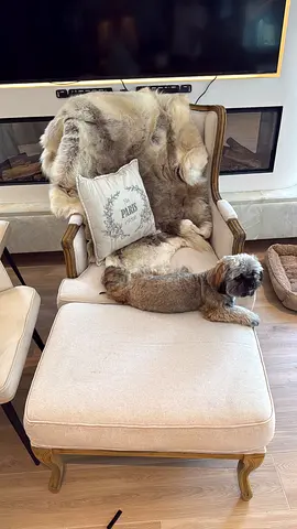 Marina Home classic upholstered armchair with ottoman and sheepskin throw