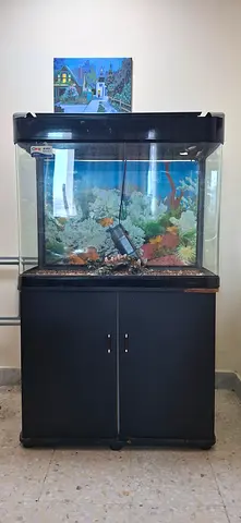Sea Star BF-800B Fish Aquarium For Sale