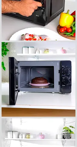 Impex microwave